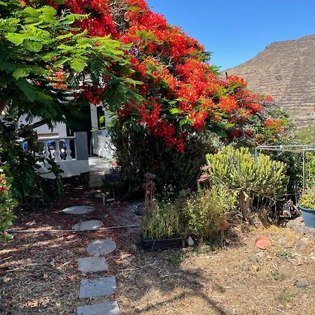 Casa Rural En Santa Cruz Los Campitos Ngoại thất bức ảnh