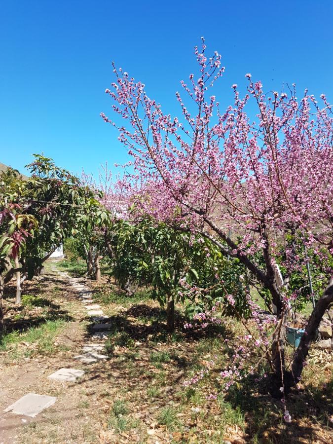 Casa Rural En Santa Cruz Los Campitos Ngoại thất bức ảnh
